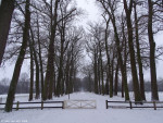 Gravenallee